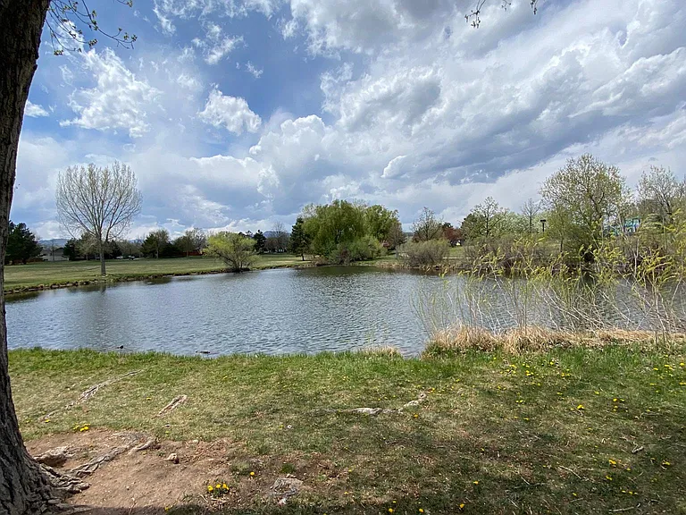 4225 Hummingbird Dr — Photo 18