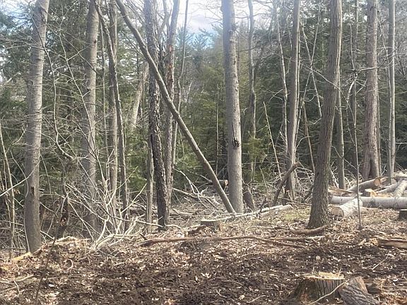 5th image of Cat Lake Hills Rd