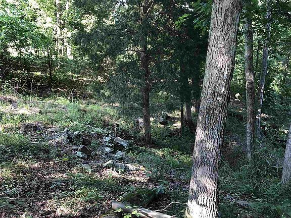 5th image of 120 Eagle Ridge Ln