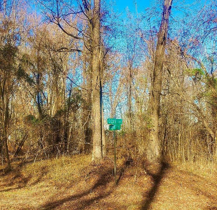 1st image of Lots 200 Cove Ct