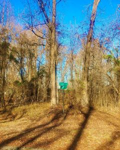 Lots 200 Cove Ct, Montross, VA, 22520