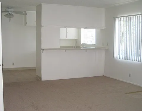 Flamingo Apartments — Photo 20