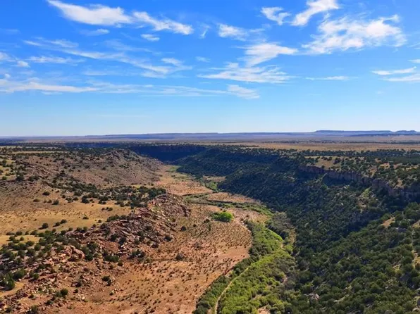 County Road 94, Model, CO 81059