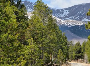 322 Fir Dr #161 & 162, Twin Lakes, CO 81251