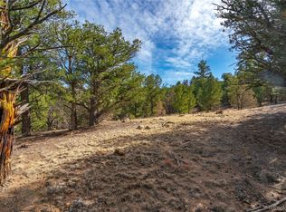 10 Prairie Dog Ln #10, Cotopaxi, CO 81223