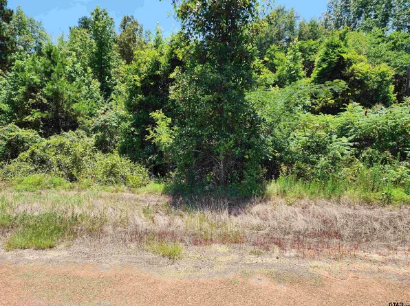 296 County Road 1315, Rusk, TX 75785