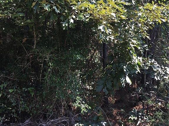 2nd image of 29637 Roscoe Dillon Rd