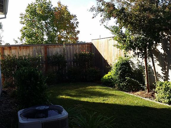 Backyard left side
