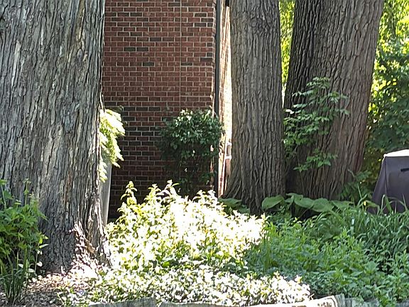 5th image of 349 S Bristol Ln