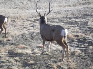 Lot #2 Rapelje Road, Columbus, MT 59019