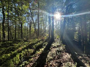 On Bluebird Rd, Birnamwood, WI 54414