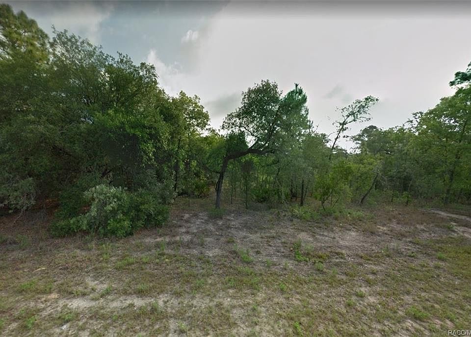 2nd image of 6956 N Lime Dr
