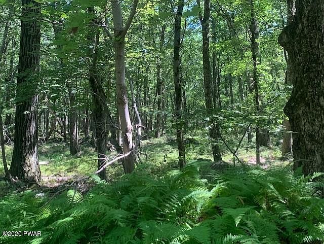 2nd image of Hiawatha Trl