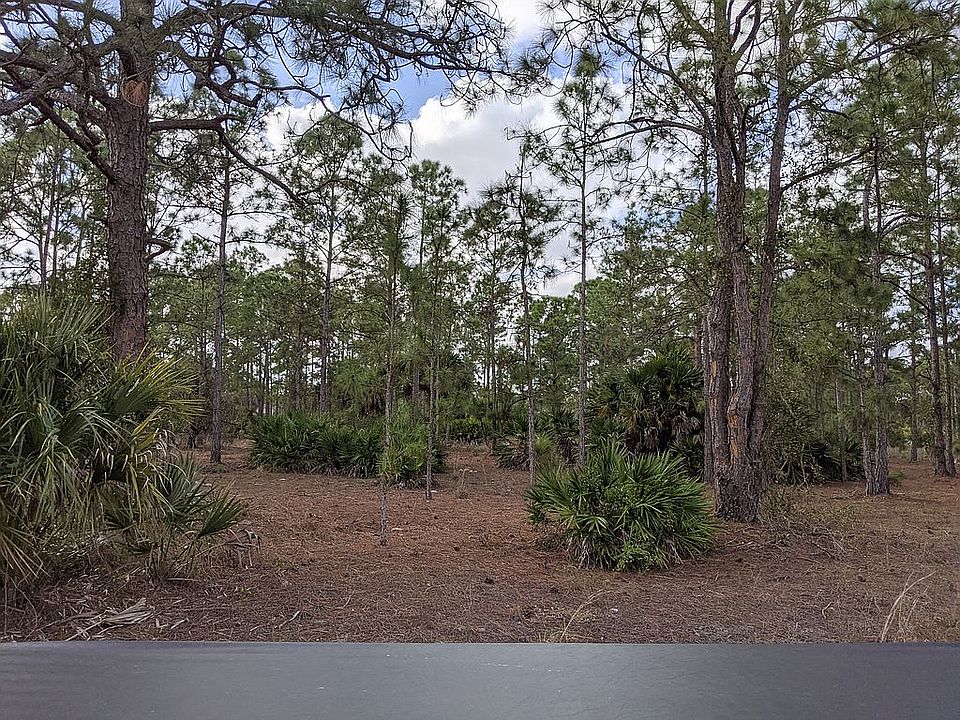 Lovely partially clear lot