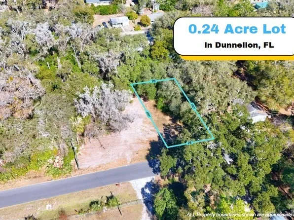 1699 W Henry Blair Ln, Dunnellon, FL 34434