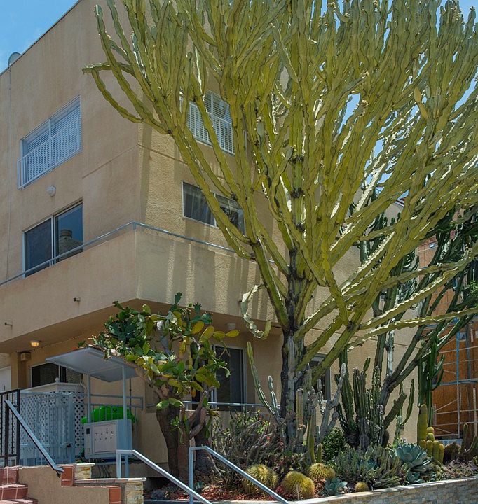 1st image of 1828 Pandora Ave APT 1