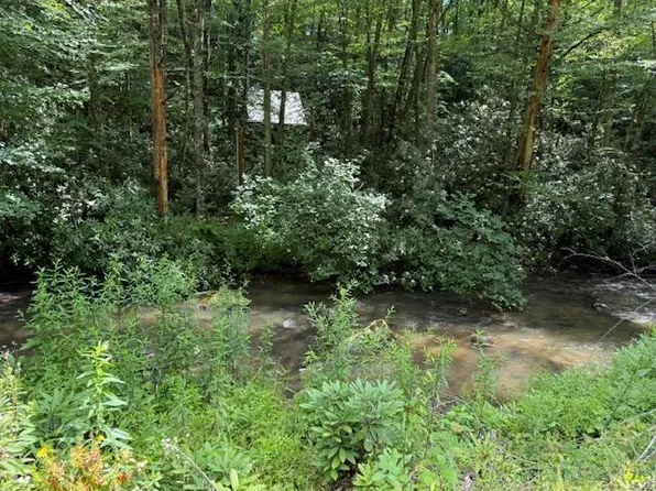 7656 Little Snowbird Road, Robbinsville, NC 28771