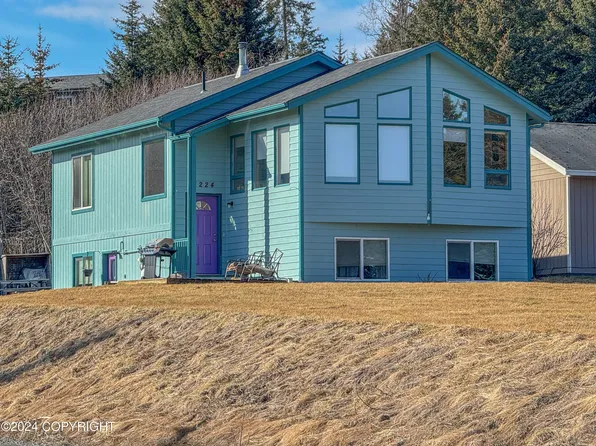 1224 Cook Way, Homer, AK 99603