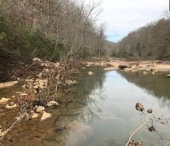 40 E Bobcat Ln, Wilder, TN, 38589