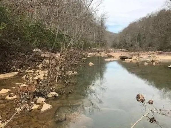 40 E Bobcat Ln, Wilder, TN 38589