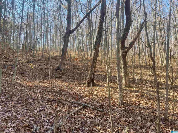 5688 Balboa Ter #1, Pinson, AL 35126