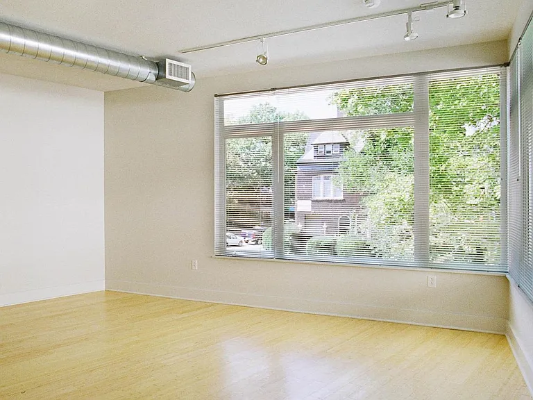 521 Shady Ave #14 — Photo 4