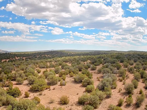 56950 N Shadow Mountain Pkwy, Seligman, AZ 86337