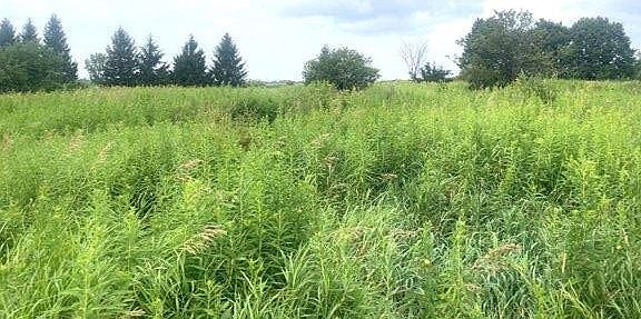 2nd image of Rockbrook Estates Rd Lot 5