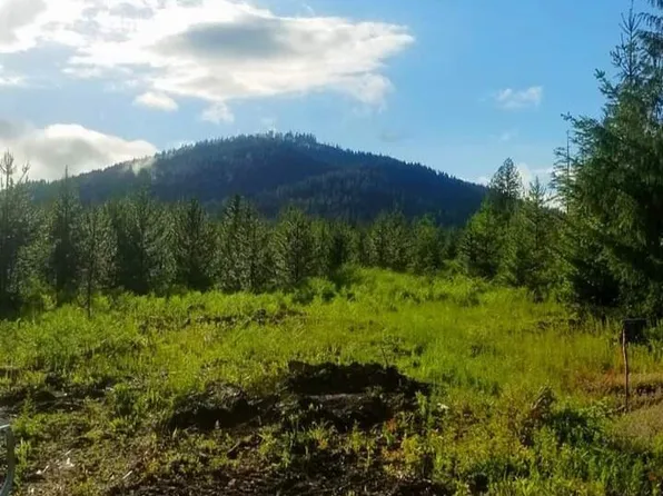 1303 Sportsman Rd, Saint Maries, ID 83861