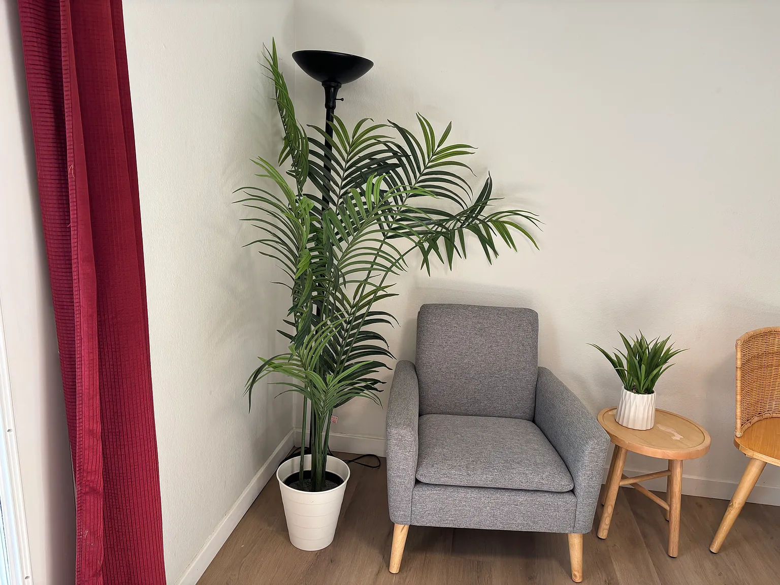 1 bed, 700 sqft, $1,900 — Photo 1