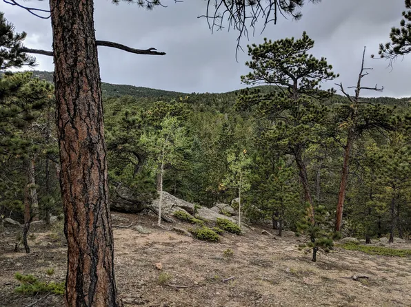 628 Crescent Lake Rd, Golden, CO 80403