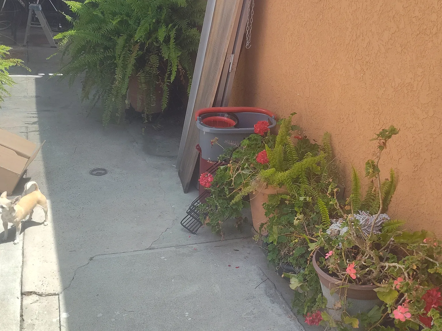 Hope St, Huntington Park — Photo 4