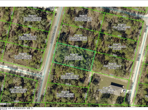 0 Barnevelde Rd, Weeki Wachee, FL 34614