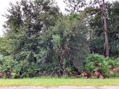 Odham St Lot 4, Orlando, FL, 32833