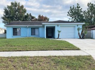 113 Euclid Loop, Seffner, FL 33584