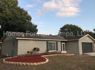 12908 Leadwood Dr, Riverview, FL 33579
