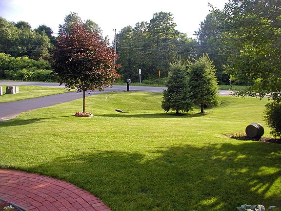 Front Yard