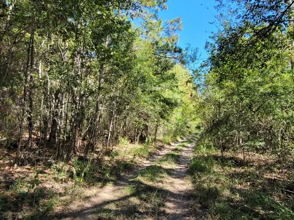 10785 Fm 2518 Rd, Cleveland, TX 77327