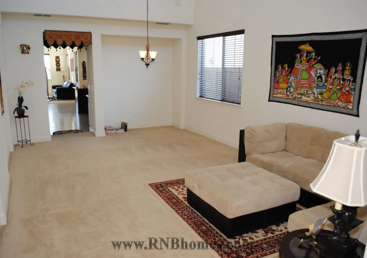 Indian Runner Drive 1367 — Photo 2