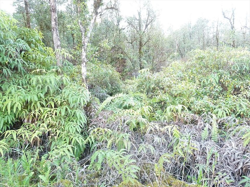 2nd image of 11-3303 Lehua St Lot 7059