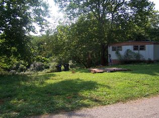 1125 Peddlar Cir, Thaxton, VA 24174