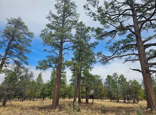 2382 San Juan Dr, Happy Jack, AZ 86024