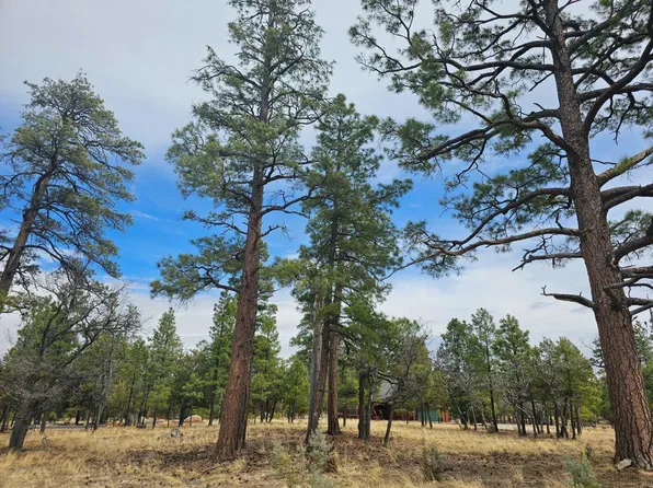 2382 San Juan Dr, Happy Jack, AZ 86024