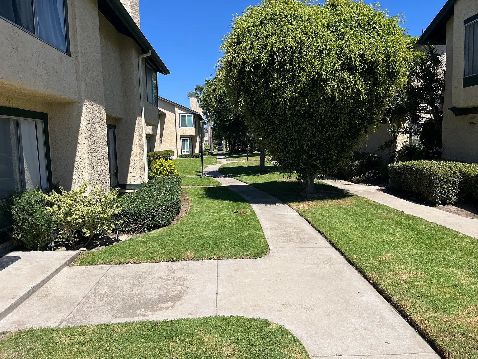 3 bed, 1.5 bath, 1267 sqft, $3,400 — Photo 3
