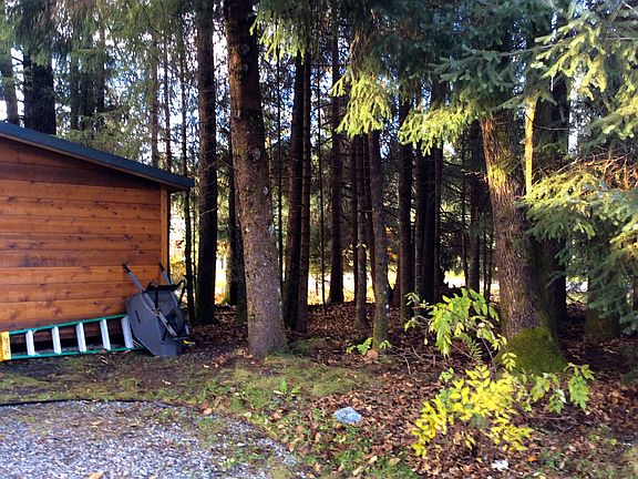 Locking wood storage shed