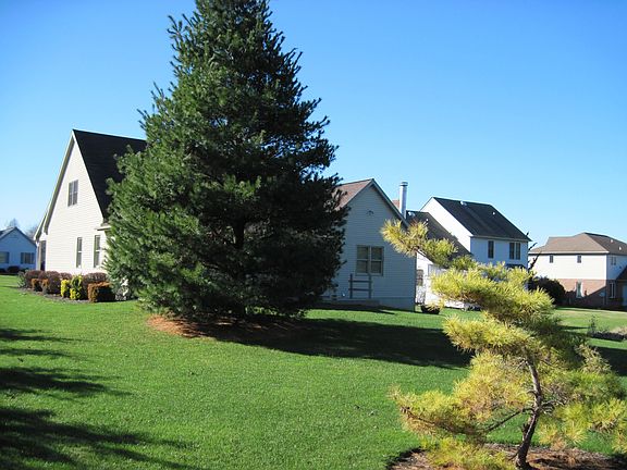 Rear of Beautifully Landscaped Property