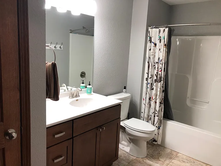 Downstairs bathroom with linen closet