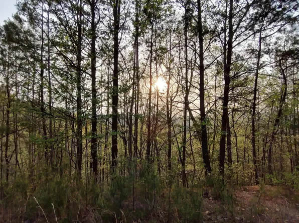 Green Forest Rd, Cosby, TN 37722