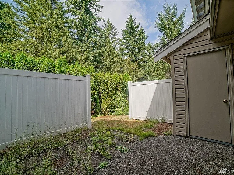 Back yard