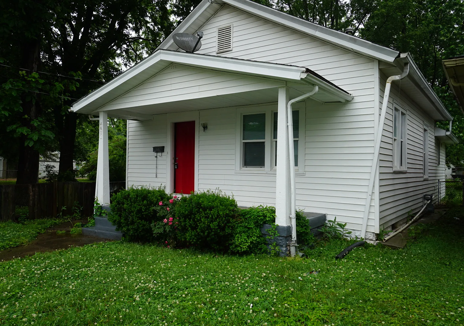 Dearcy — Photo 2